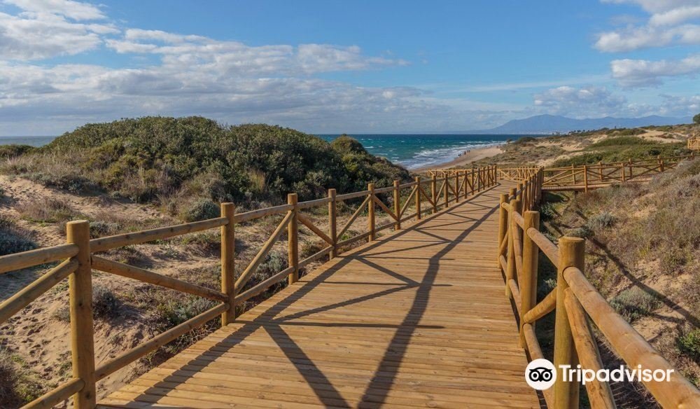 Playas nudistas en Málaga