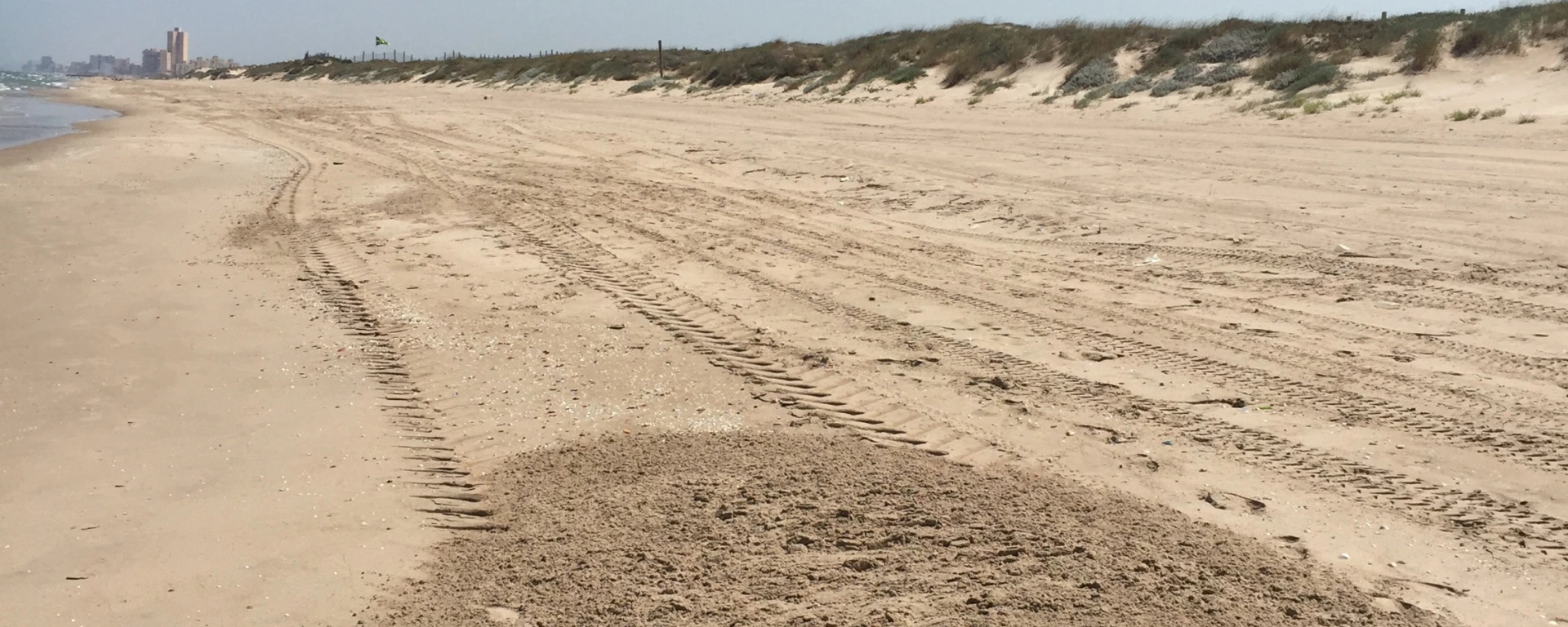 Playas nudistas en Valencia