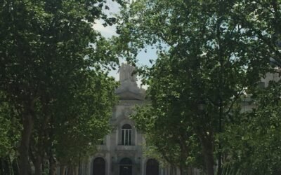 ¿Recurso contencioso-administrativo sin agotar la vía administrativa?